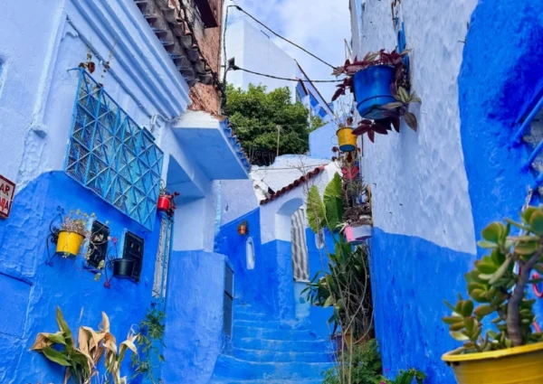 Tour 10 days Chefchaouen and the imperial cities of Morocco
