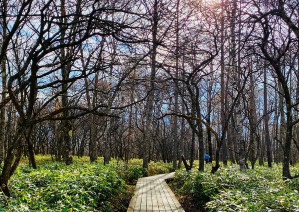 Authentic Morocco Tour – 15 days