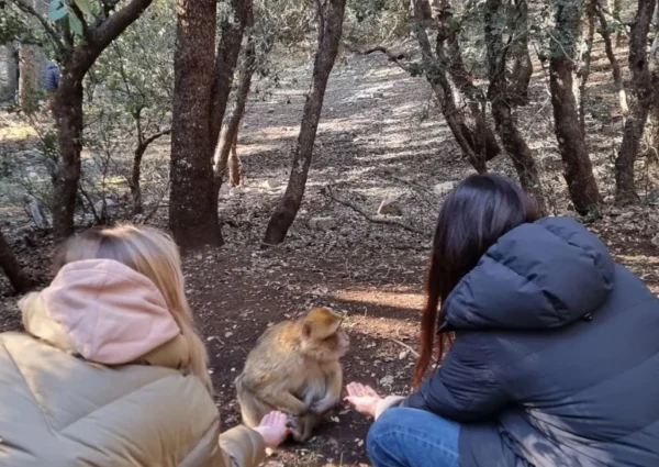 Authentic Morocco Tour – 15 days