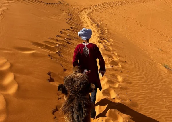 Morocco desert tour in 8 days (Fes – Marrakech)