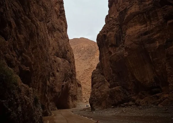 The best of Morocco 15 days Tour